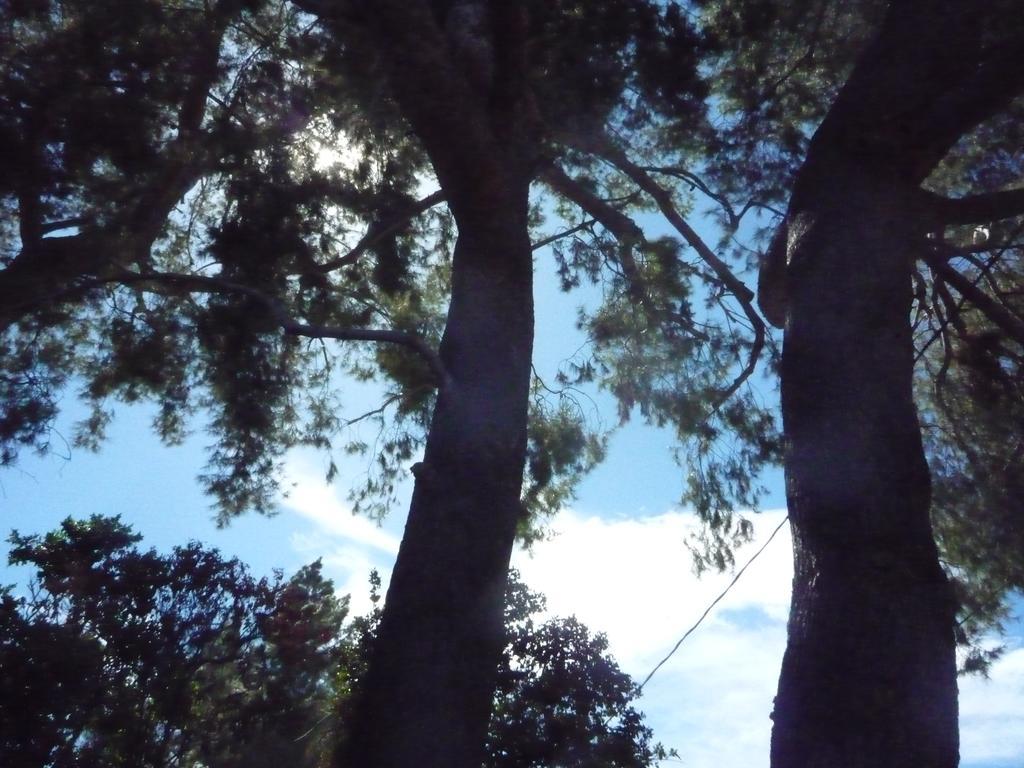 Gasthof Woodland Hills Calabasas Guesthouses